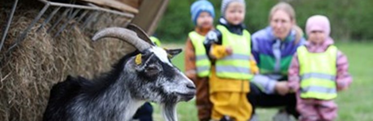 Mange besøgende til åbningsdagen for Landbrugets Oplevelsesplads