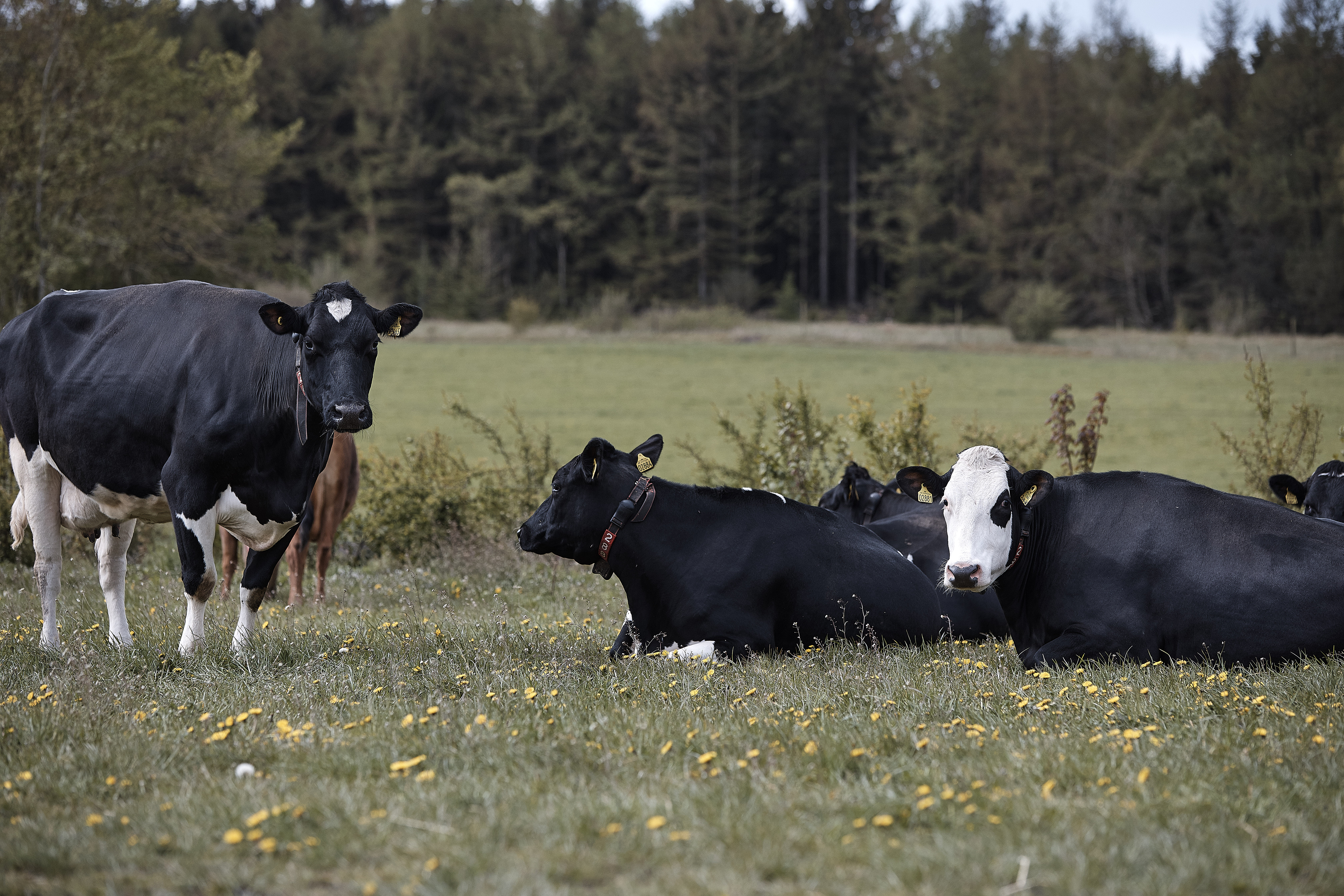 Kom ind i klimakampen
